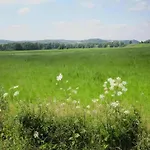 Vakantiehuis Forest View