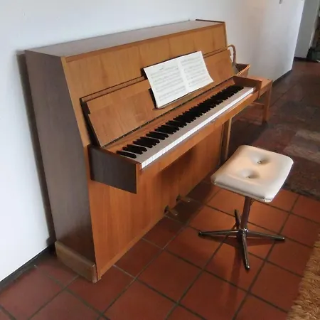 Semesterbostad Forest View