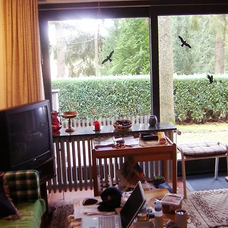 Forest View Holiday home