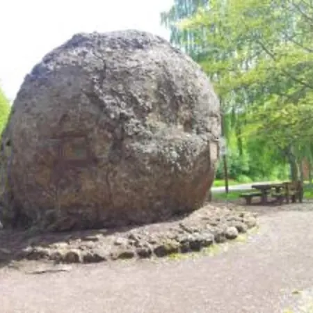 Forest View Prázdninový dům