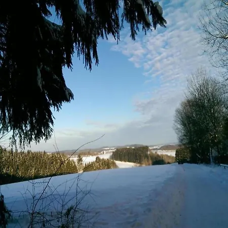 Forest View *