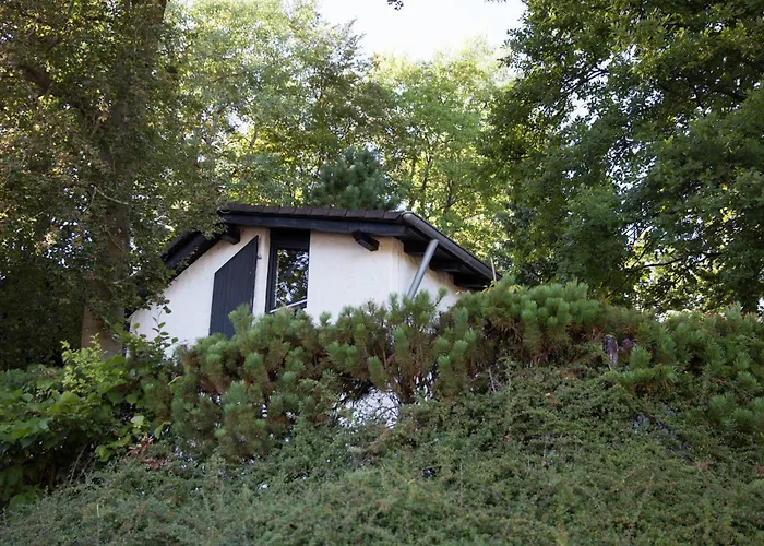 Prázdninový dům Forest View *