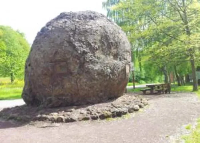 Forest View Дом отдыха