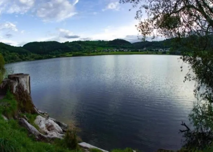Prázdninový dům Forest View