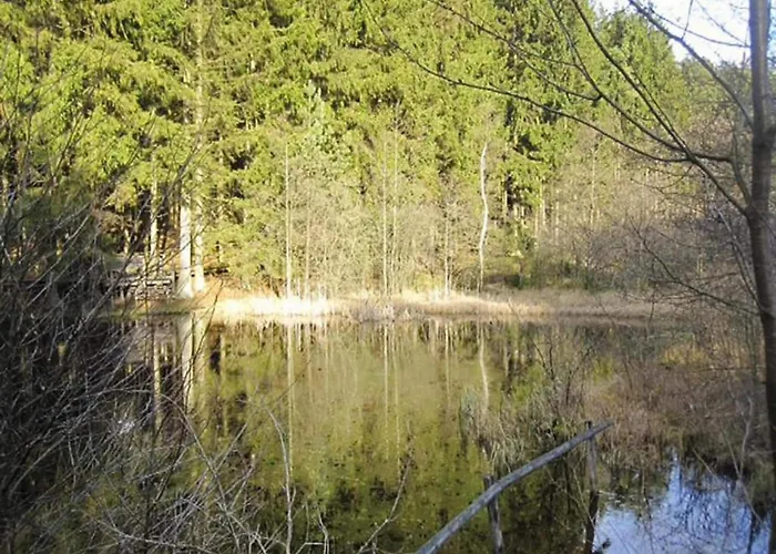 Дом отдыха Forest View *