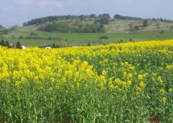 Prázdninový dům Forest View Lissendorf