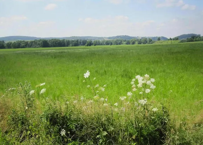 Prázdninový dům Forest View
