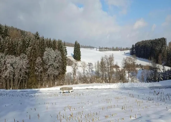 Forest View Дом отдыха